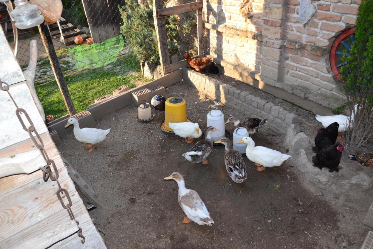 Motel Srpsko Andrejevo Selo