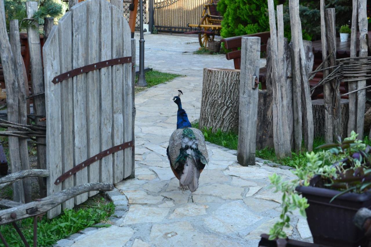 Srpsko Andrejevo Selo Motel *